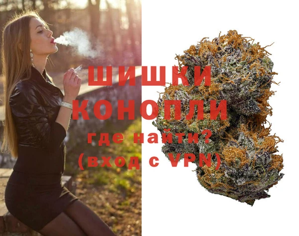 PSILOCYBIN Янаул