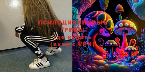 шишки Армянск