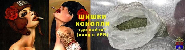 крисы Богородицк