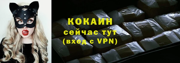 PSILOCYBIN Янаул