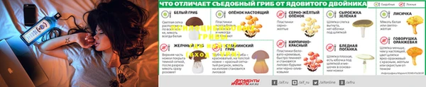 герыч Аркадак