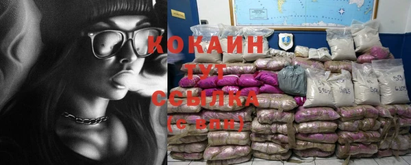 гашик Яровое