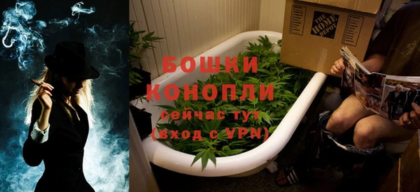 крисы Богородицк