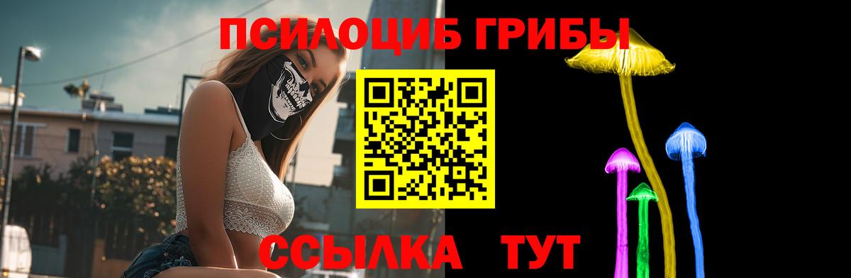 Кемерово  наркошоп  Вход с VPN  Псилоцибиновые грибы мухоморы 